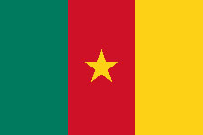 Vastu consultant in Cameroon